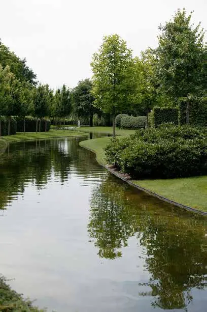 Lago rodeado de árboles
