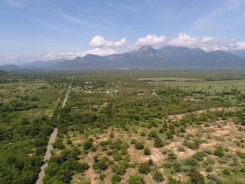 Amplias zonas verdes con las montañas al fondo